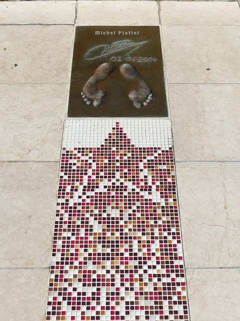 的精准射术 的精准射术