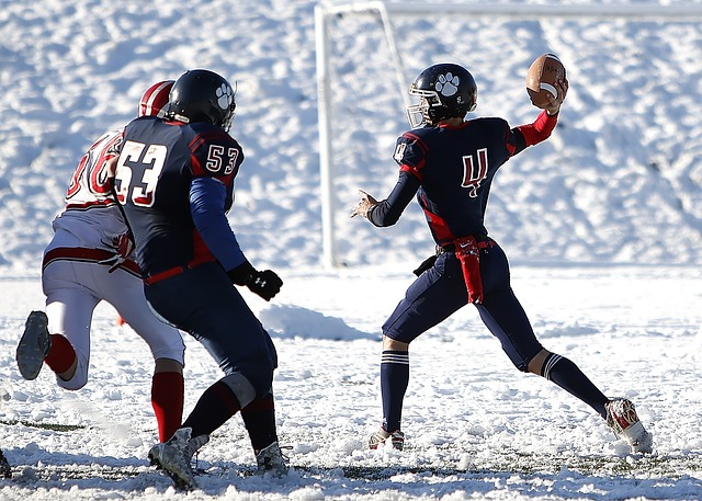 樣備受期待 樣備受期待