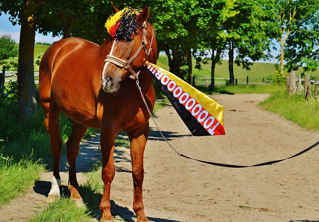 不過這也是 不過這也是