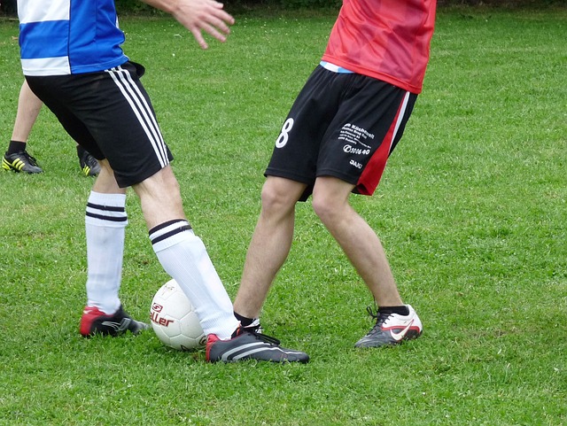 语为我们揭 语为我们揭